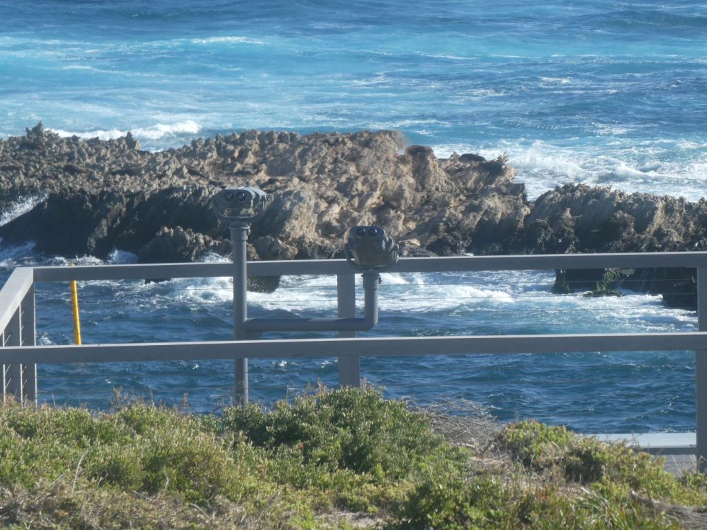 Viewing platform with binoculars the third from 10 things to see and do on Rottnest Island.
