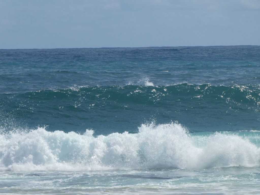 Surfers Point