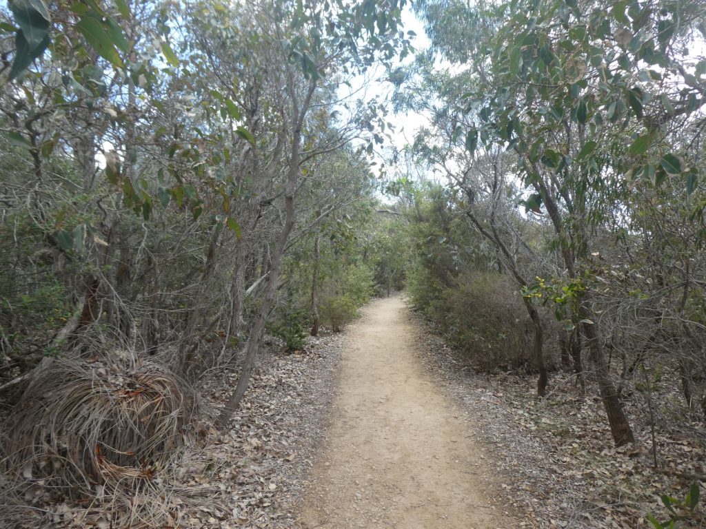 Meelup Walking Trail