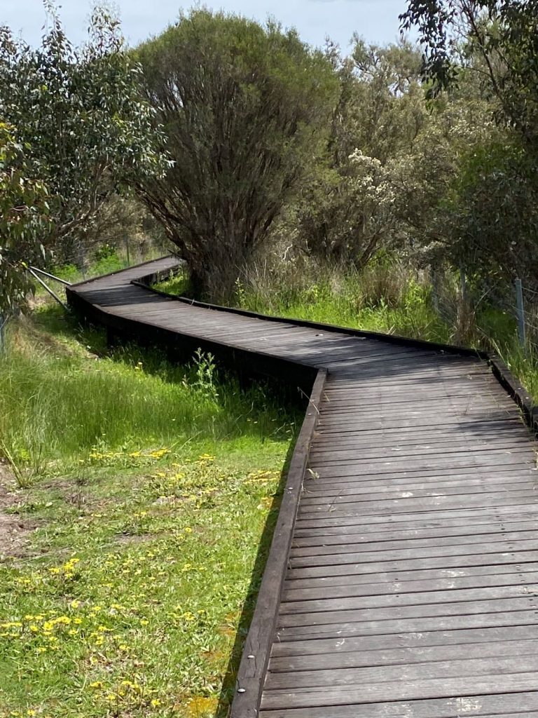 Boardwalk to The bird hide