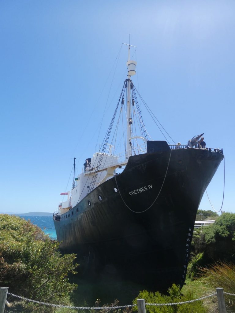 Cheynes lV Whaling Station