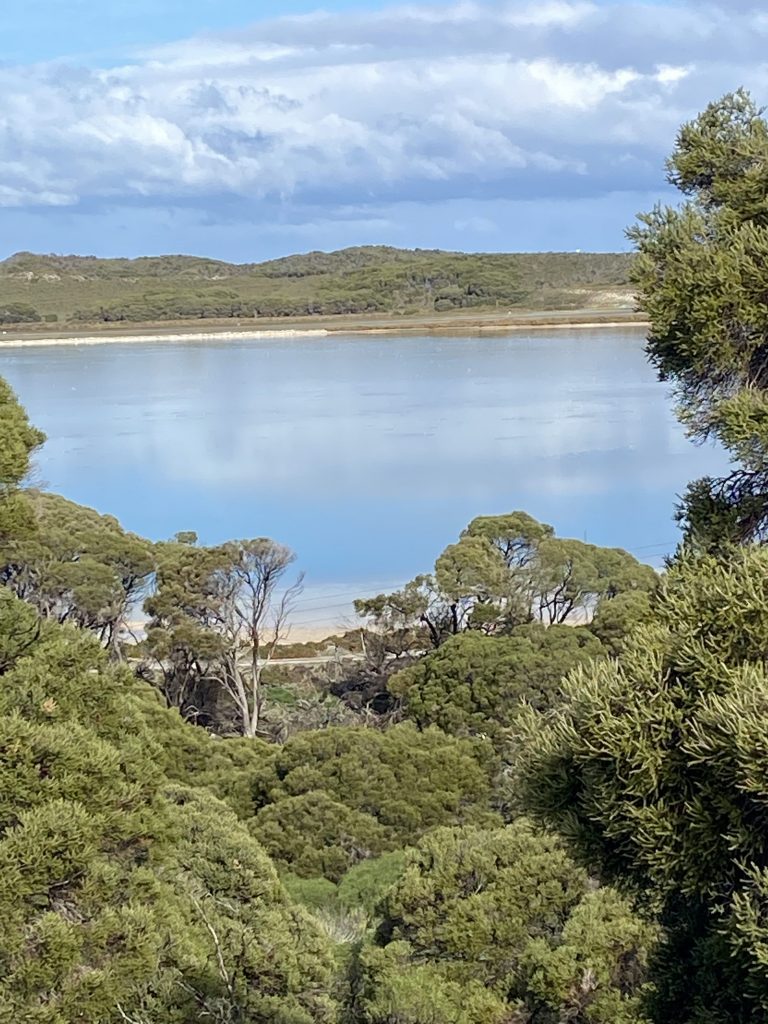Herschel Lake through the trees.