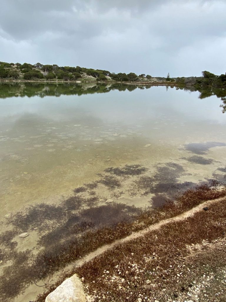 The salt lakes are the thing to see and walking around them is the thing to do..