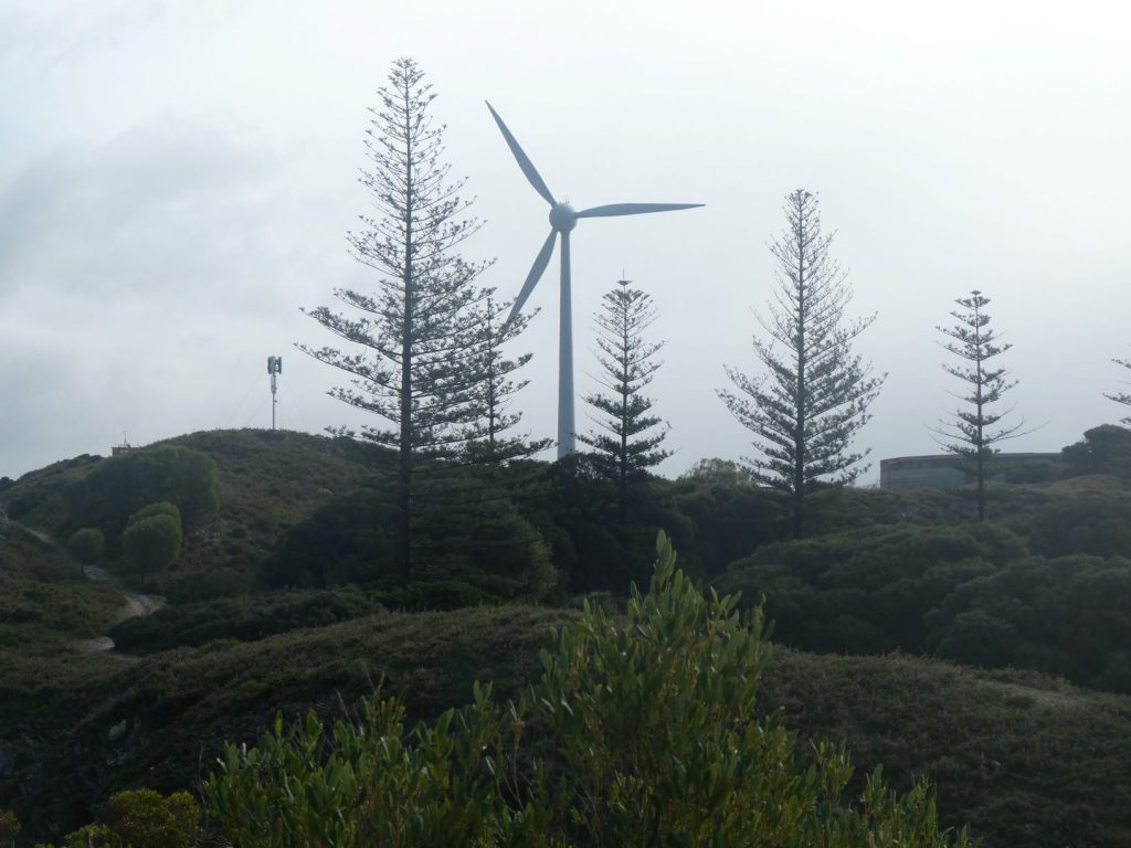 The wind turbines on the Wadjemup walking trail.