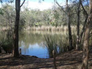 Ellendale pool is a beautiful spot fbr a picnic or canoe.
