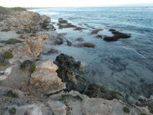 The beach cliff walk 