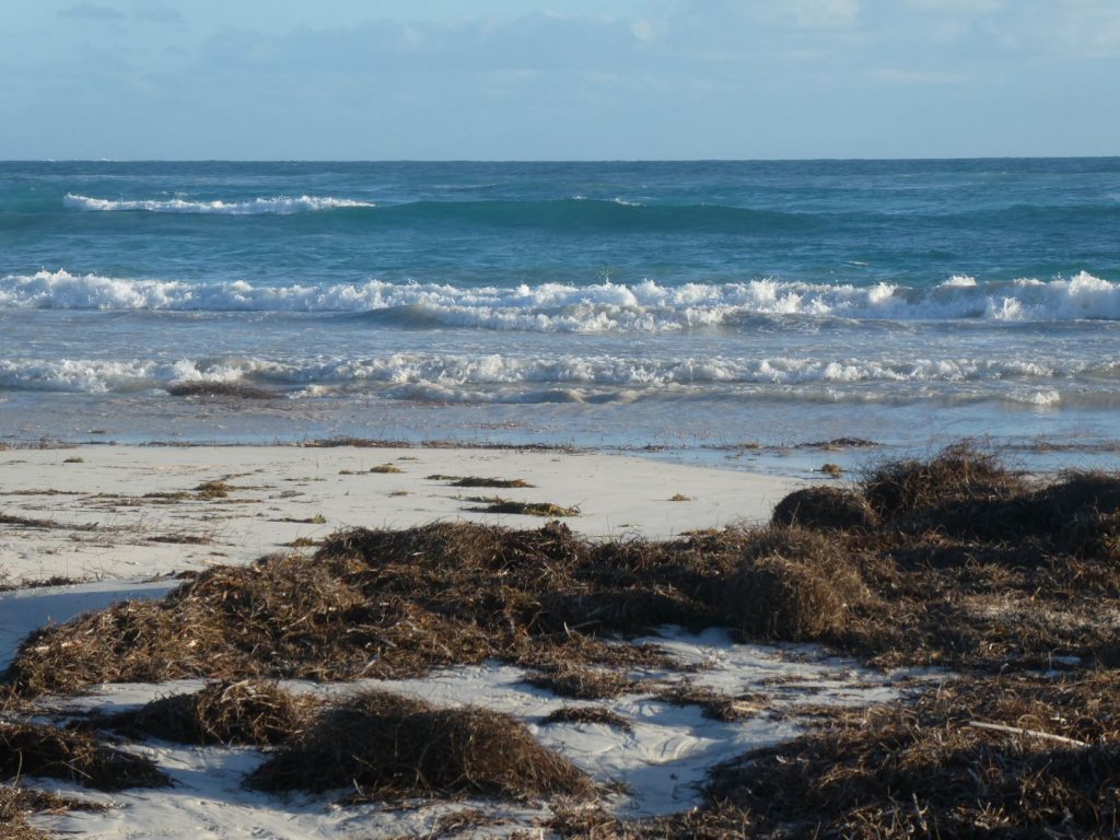 South Beach on Fisherman's Loop