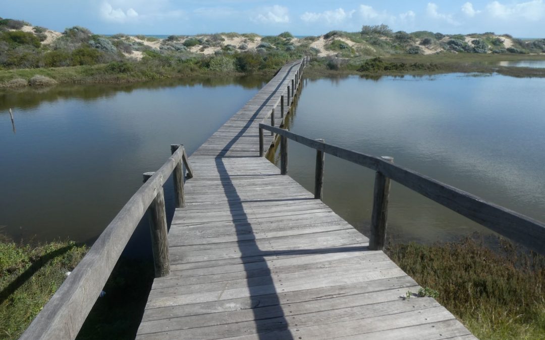 Top 5 things to do and see in Dongara-Port Denison.