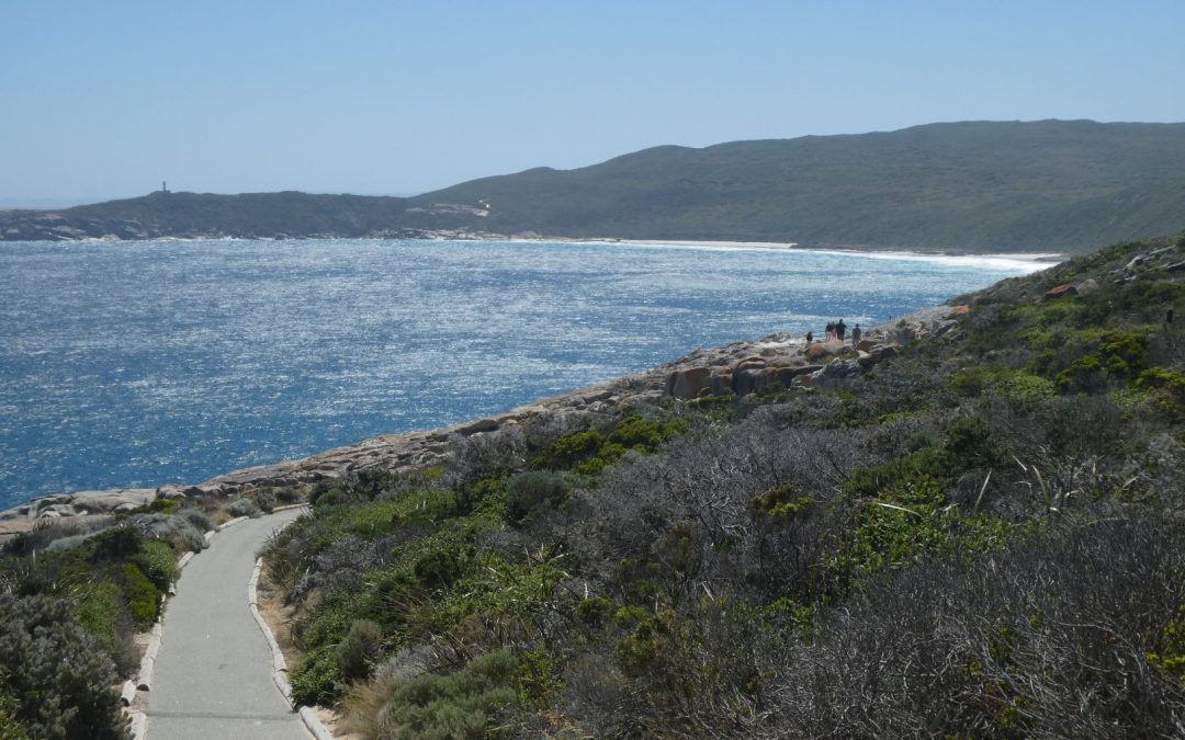 The Best Things to see in Torndirrup National Park.