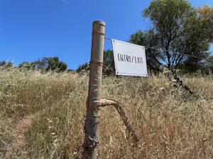 Willi Gulli Cave Entrance