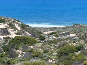 The beautiful Horrocks coastline from the whale watching lookout.