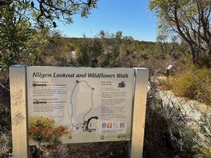 Nilgen Lookout wildflower map