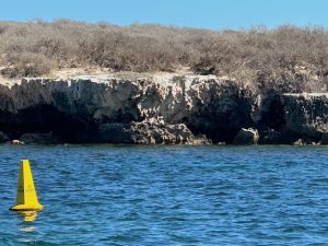One of the island with sea lions lounging on the beach in the sun.