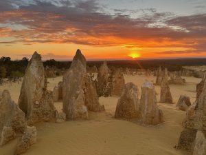 The Pinnacles at sunset in Nambung National Park. in Jurien Bay