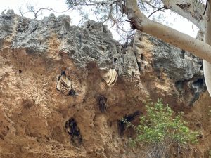 The entrance to the cave has some impressive bee hives.