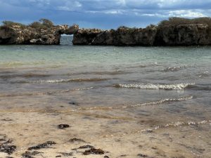 Sandy Cove rock formations in the sea.