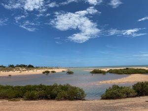 Pretty Pool with a few wispy clouds