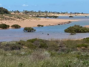 Pretty Pool with grass and sand and views out to sea.