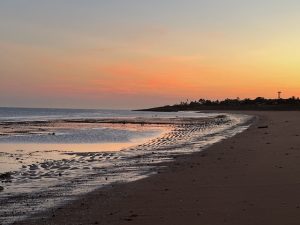 The sunrise after the turtles came to Port Hedland